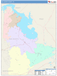 San Jacinto County Wall Map Color Cast Style